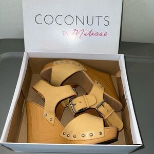 Coconuts By Matisse